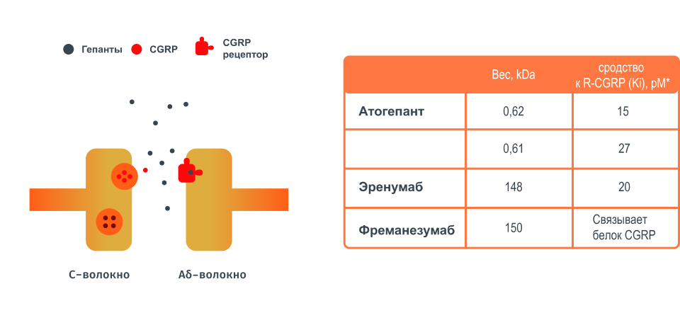 Иллюстрация механизма действия
